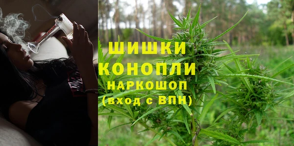 тгк Арсеньев